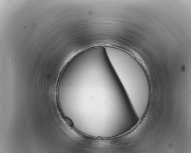 X0000095130802200712071006