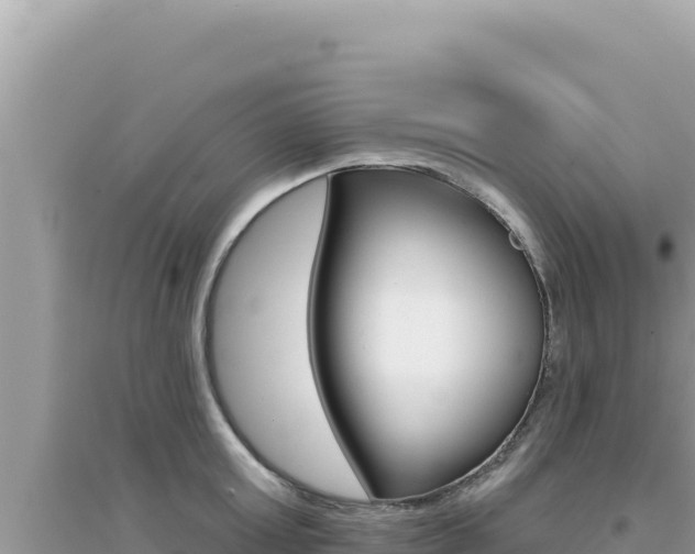 X0000095130803200712071006