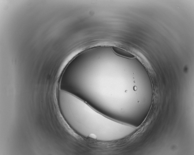 X0000095130804200712071006