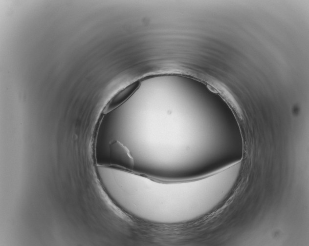X0000095130805200712071006