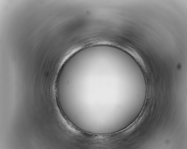 X0000095130806200712071006