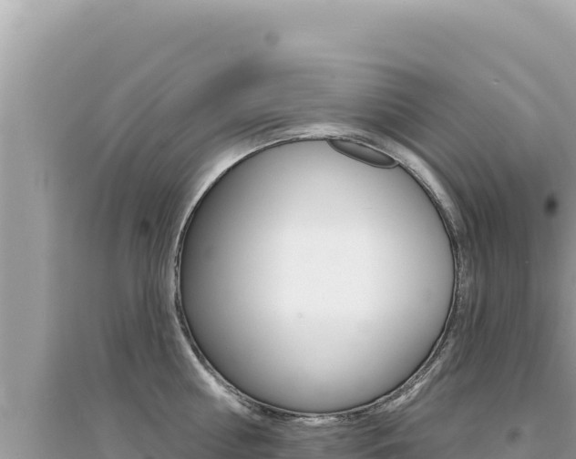 X0000095130810200712071006