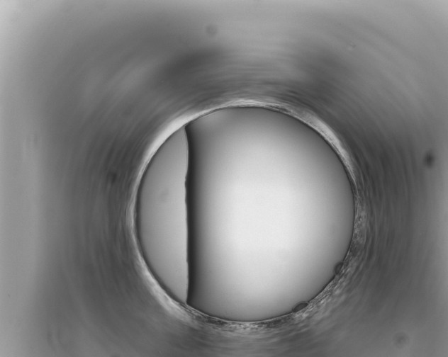 X0000095130811200712071006