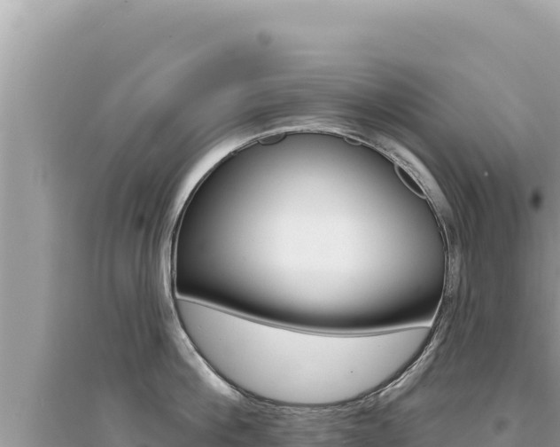 X0000095130812200712071006