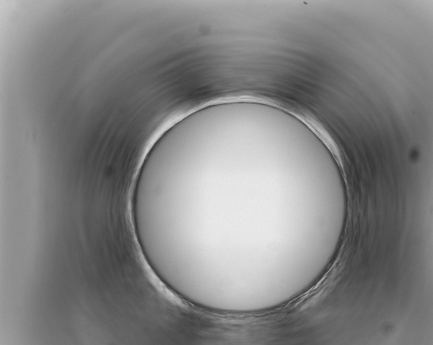 X0000095130813200712071006