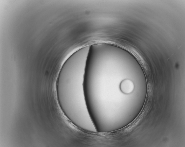X0000095130814200712071006