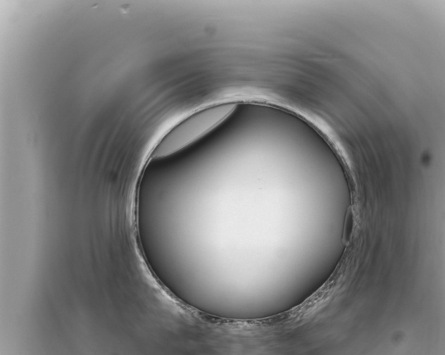 X0000095130815200712071006