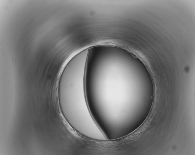 X0000095130816200712071006