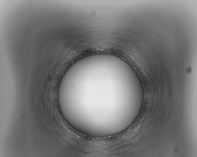 X0000095130817200712071006