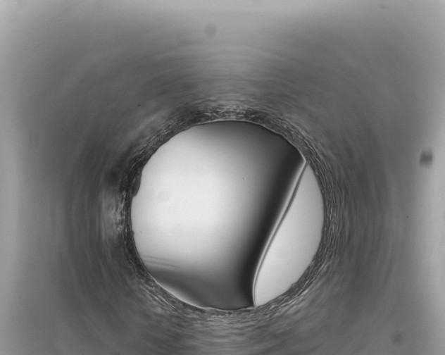 X0000095130818200712071006