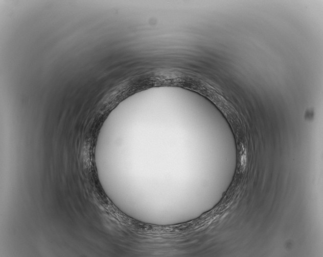 X0000095130819200712071006