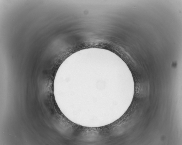 X0000095130820200712071006
