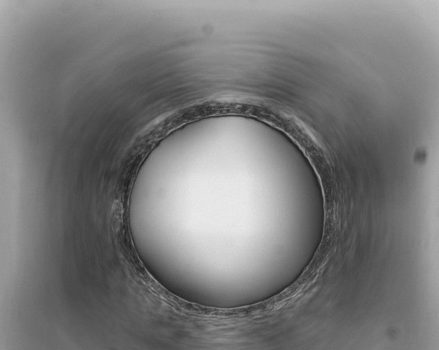 X0000095130821200712071006