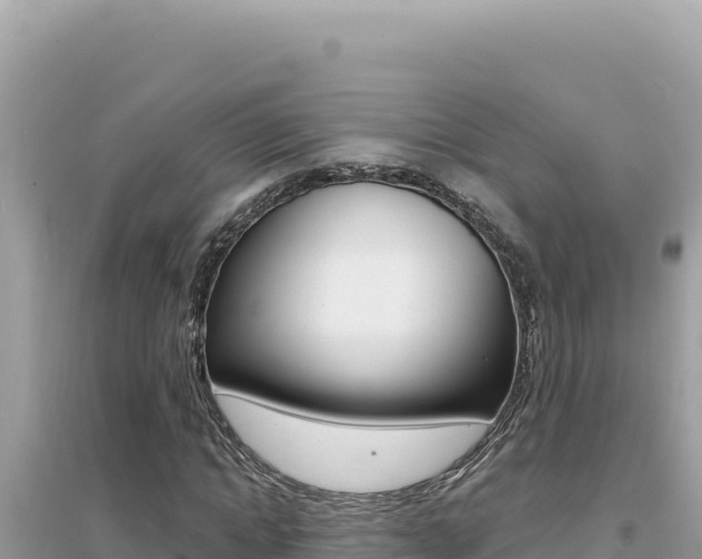 X0000095130822200712071006