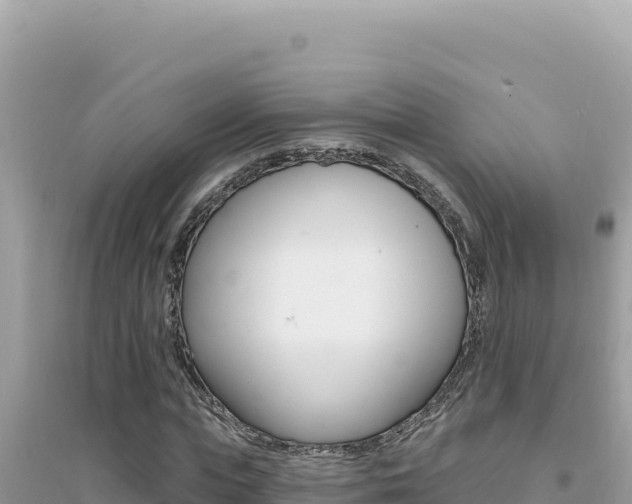 X0000095130823200712071006