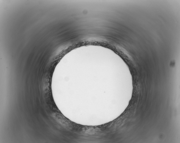 X0000095130824200712071006