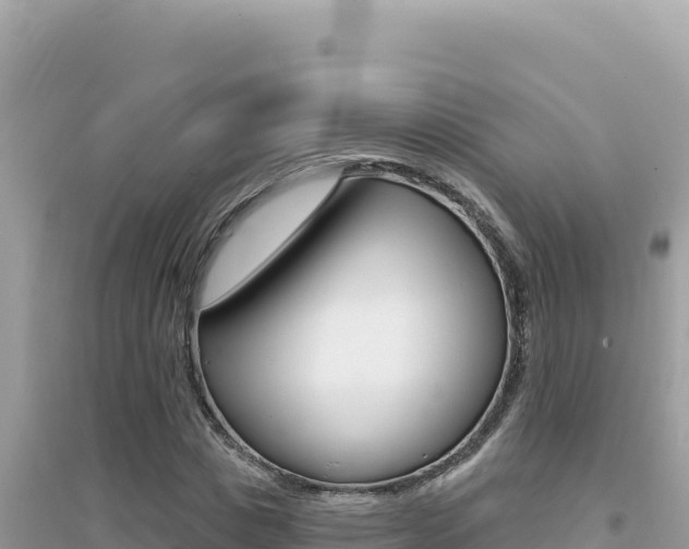 X0000095130825200712071006