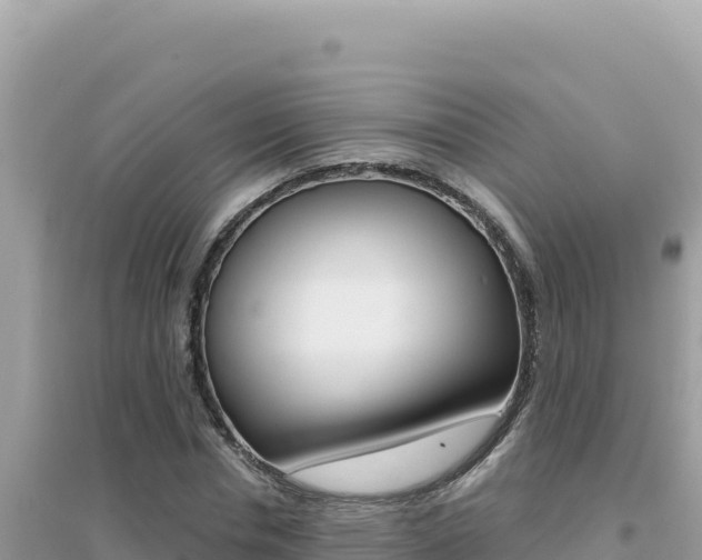 X0000095130826200712071006