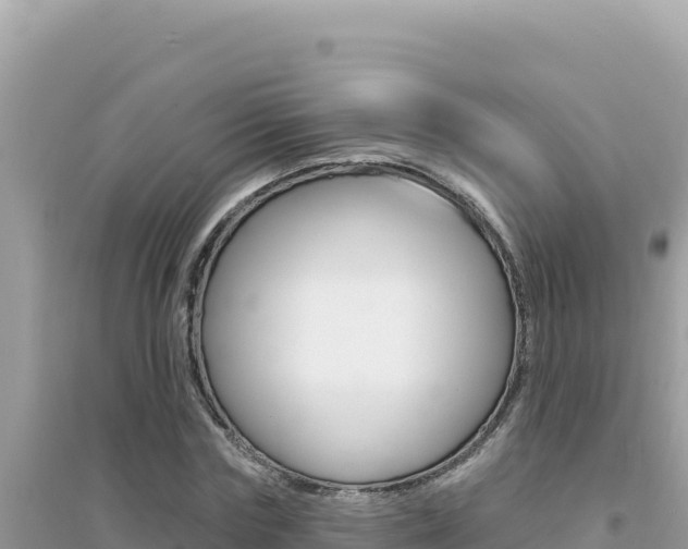 X0000095130827200712071006