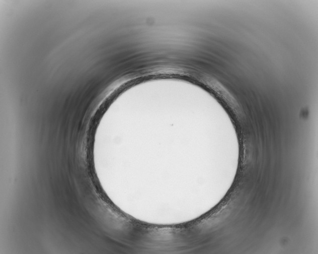 X0000095130828200712071006
