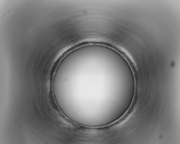 X0000095130829200712071006