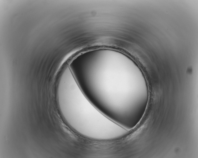 X0000095130830200712071006