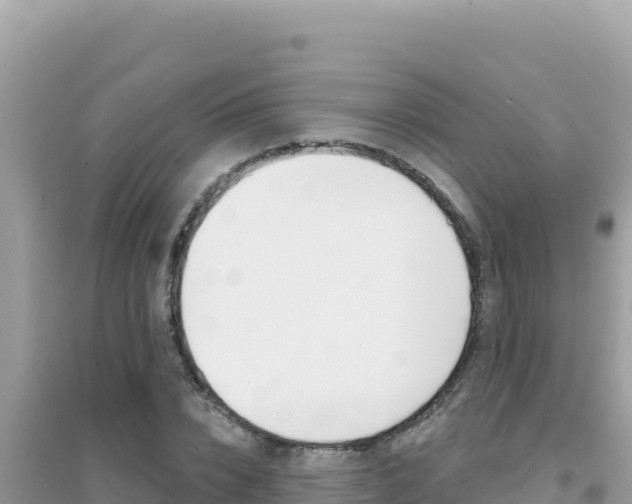 X0000095130832200712071006