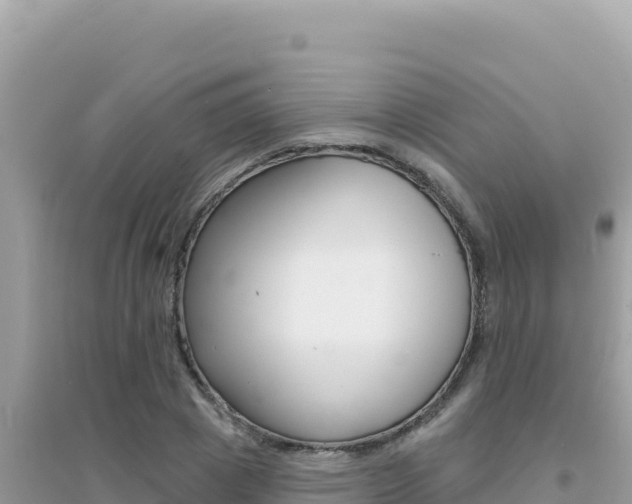 X0000095130833200712071006