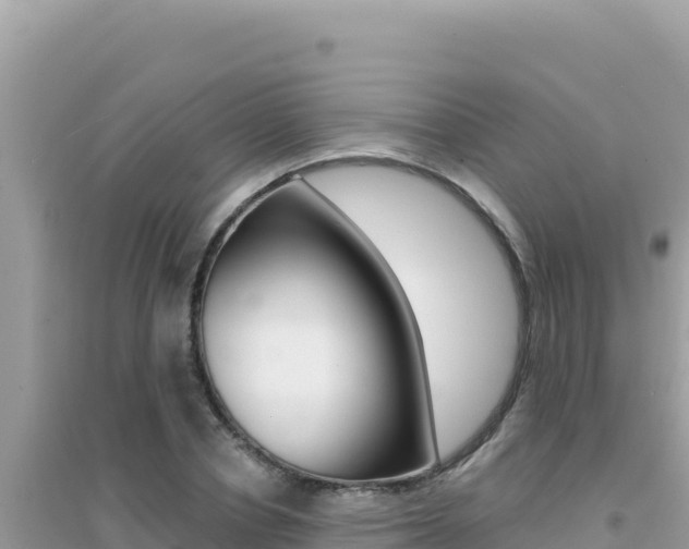 X0000095130834200712071006