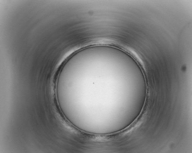 X0000095130835200712071006