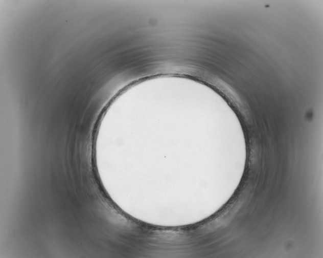 X0000095130836200712071006