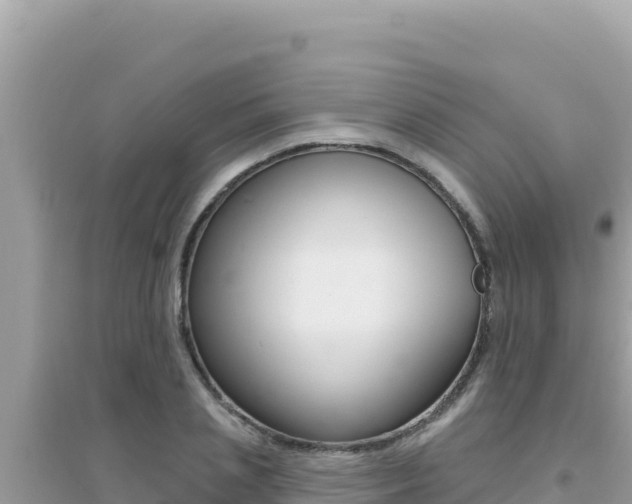 X0000095130837200712071006