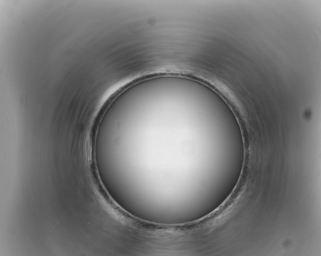 X0000095130838200712071006