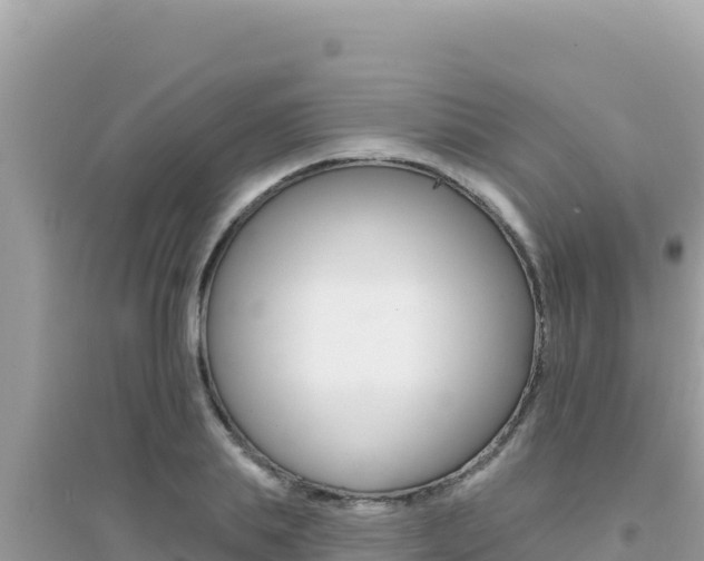 X0000095130839200712071006