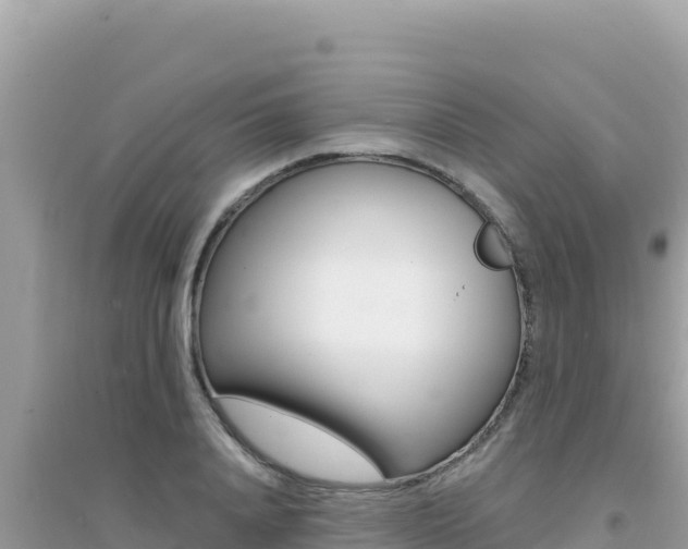 X0000095130840200712071006