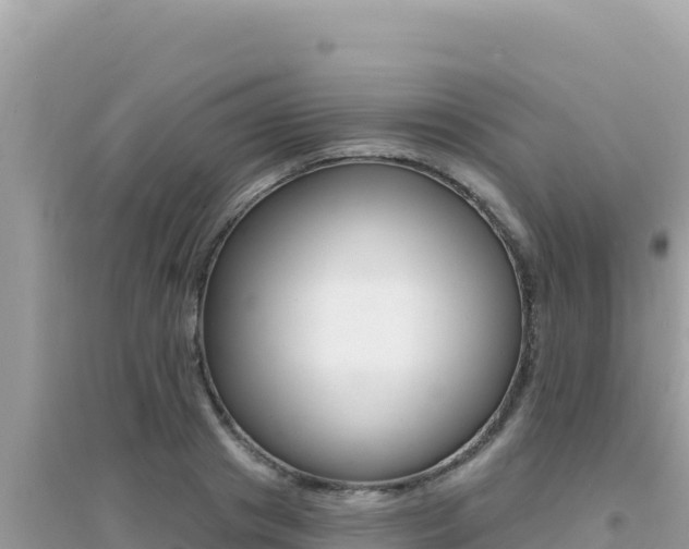 X0000095130841200712071006