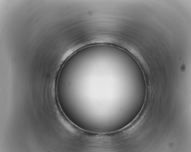 X0000095130842200712071006