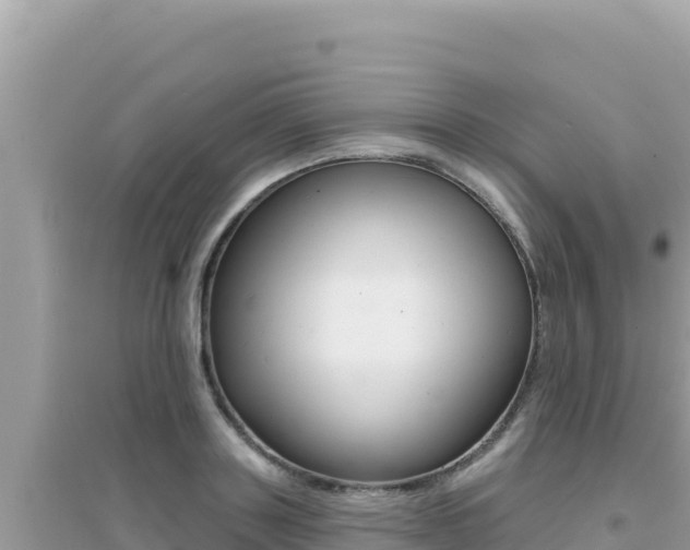 X0000095130843200712071006
