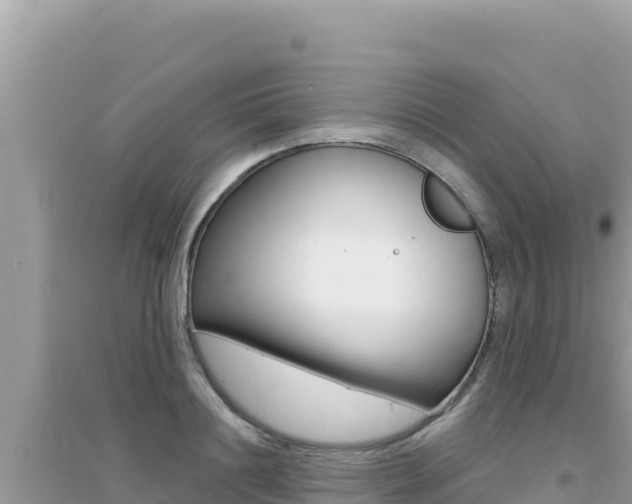 X0000095130844200712071006