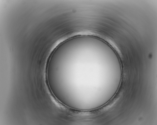 X0000095130845200712071006