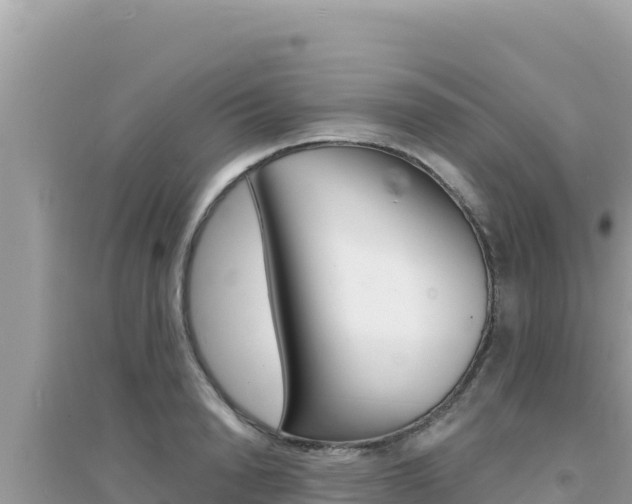 X0000095130846200712071006