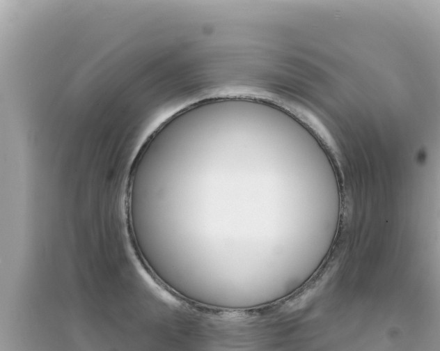 X0000095130847200712071006