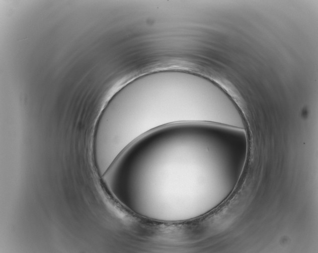 X0000095130850200712071006