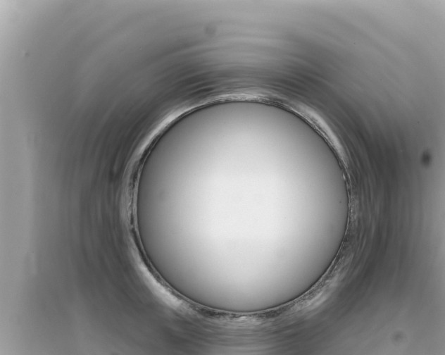 X0000095130851200712071006