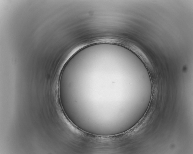 X0000095130852200712071006