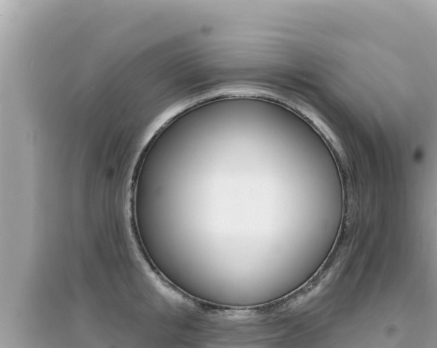 X0000095130853200712071006