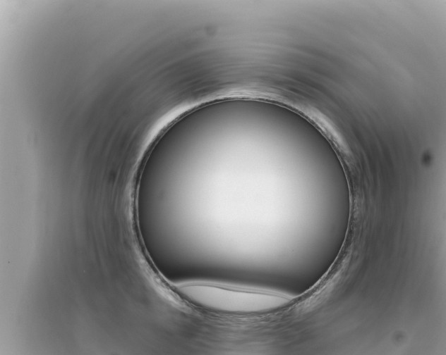 X0000095130854200712071006