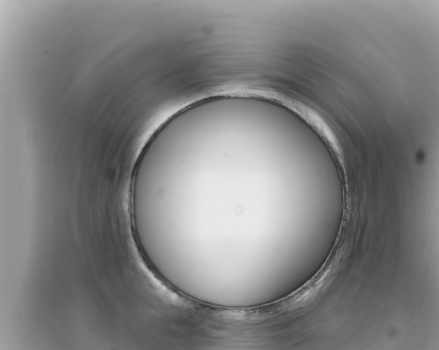X0000095130855200712071006