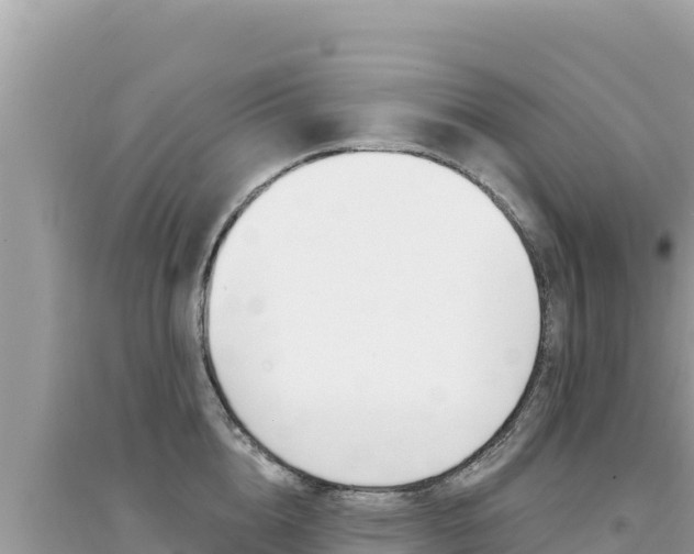 X0000095130856200712071006