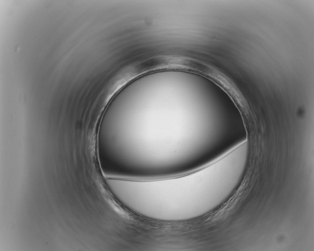 X0000095130858200712071006